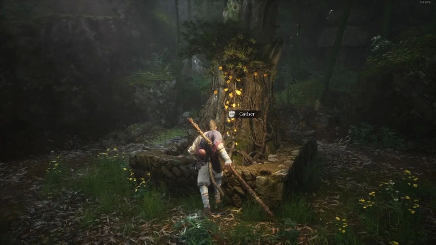 Black Myth: Wukong - Cách nâng cấp Gourd