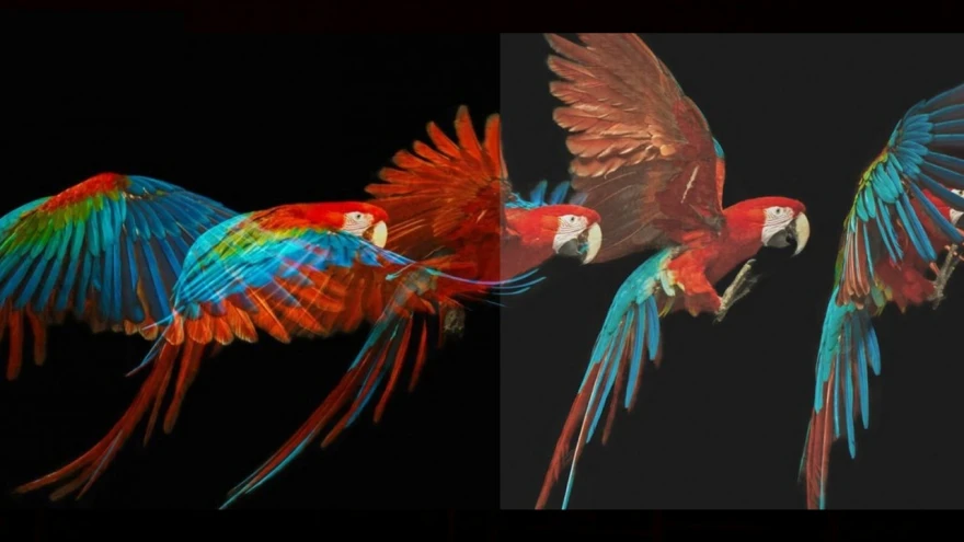 Dolby Vision là gì? Có điểm gì nổi bật? 