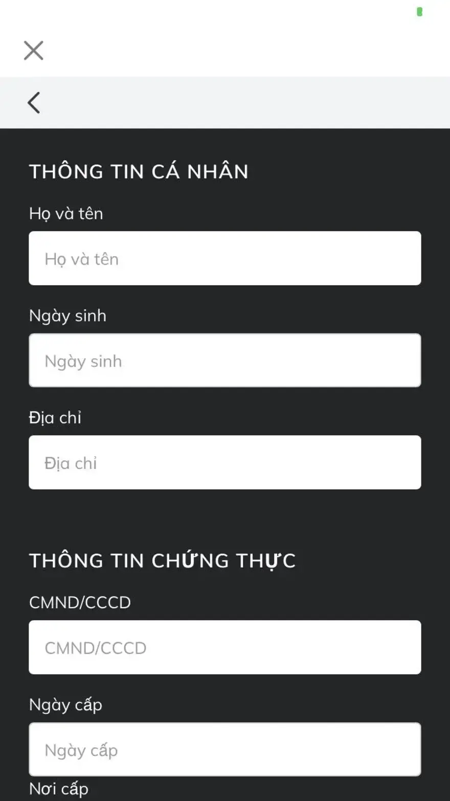Roblox VNG