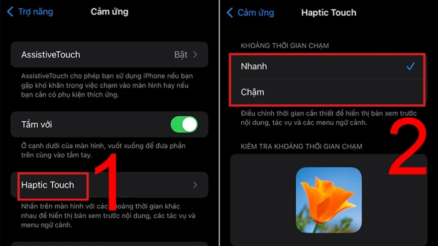 Haptic Touch trên iPhone là gì? Có gì khác so với 3D Touch