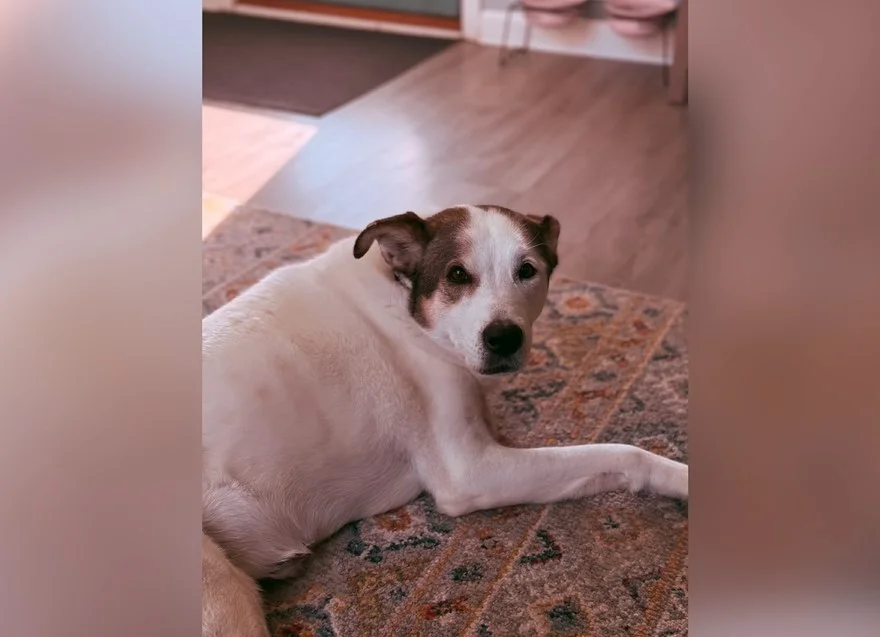 Đánh giá camera iPhone 16 Pro: Cải tiến đáng kể 