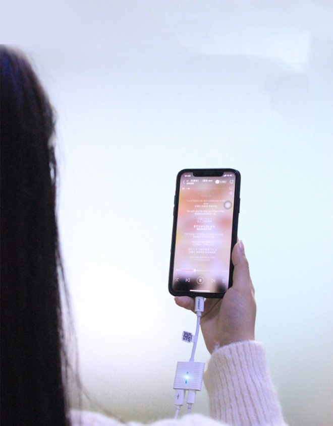 Cáp chuyển đổi Pisen 2 in 1 Dual Lightning