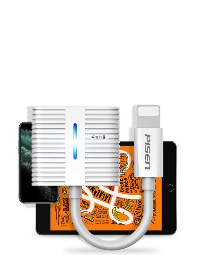 Cáp chuyển đổi Pisen 2 in 1 Dual Lightning