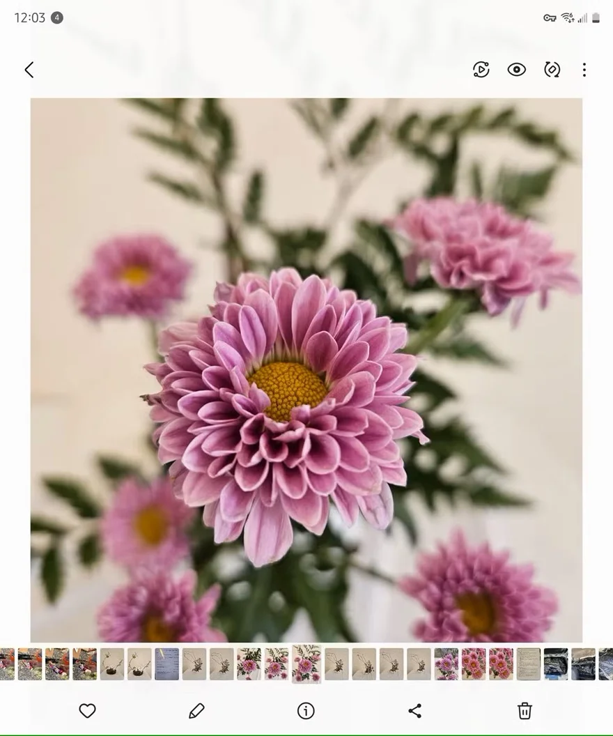 9 Lưu ý để chụp ảnh đẹp hơn bằng điện thoại