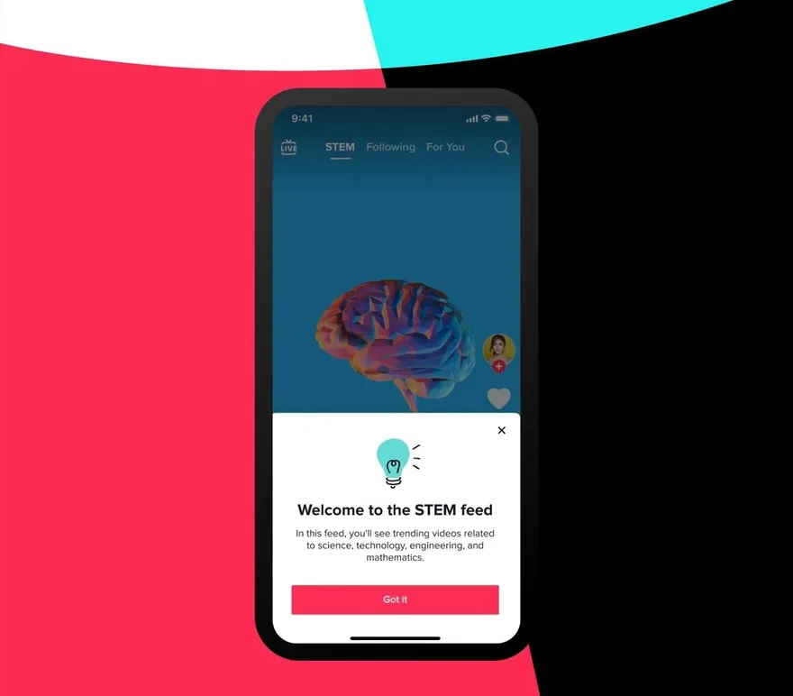 Tìm hiểu tính năng chặn content rác của TikTok