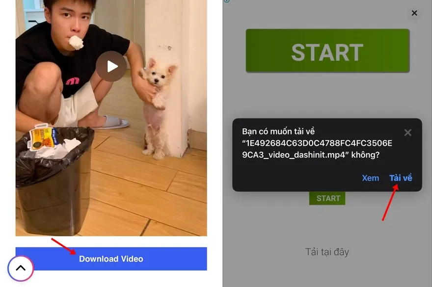 Cách tải Instagram Reels