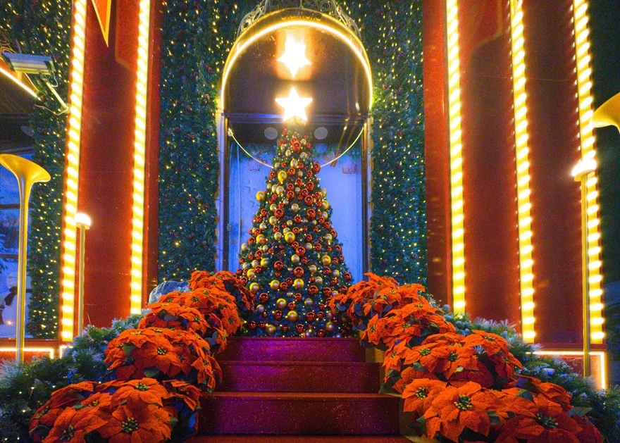 6 Địa điểm chụp ảnh 