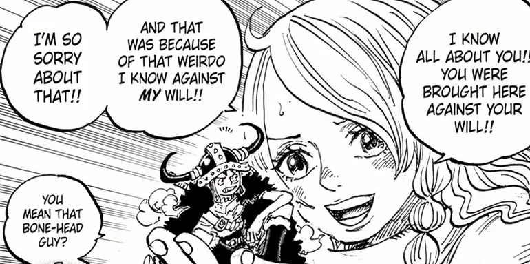 Dự đoán One Piece chap 1135: Bí ẩn 