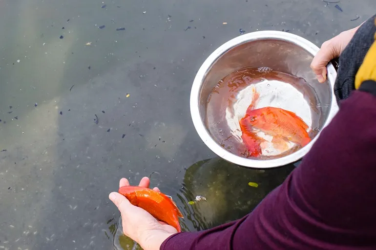 Tết ông Công ông Táo - Ý nghĩa văn hóa ngày 23 tháng Chạp