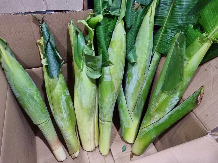 Giải thích nghĩa con xà niêng, con hà nàm