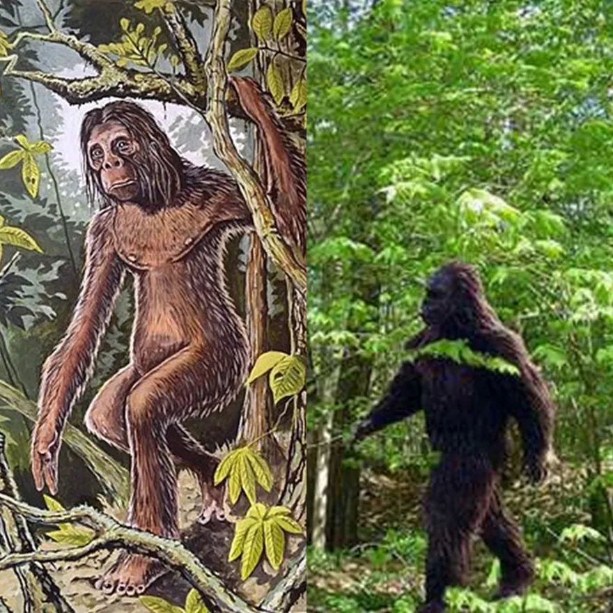 Giải thích nghĩa con xà niêng, con hà nàm