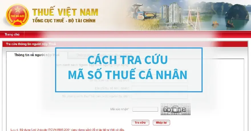 Hướng dẫn tra mã số thuế cá nhân trên điện thoại