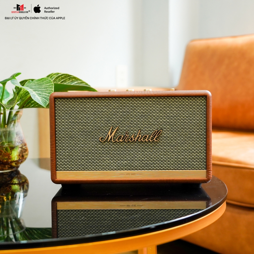 ưu đãi bảo hành marshall 18 tháng