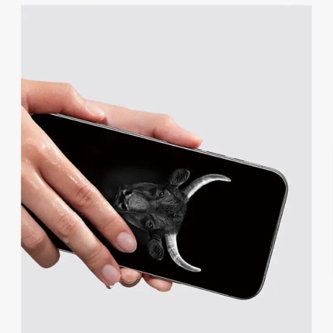 Cường lực chống nhìn trộm iPhone 16 Pro Mipow Kingbull HD Premium Silk