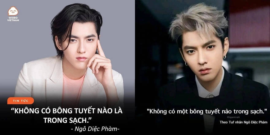 Giải mã nguồn gốc câu 