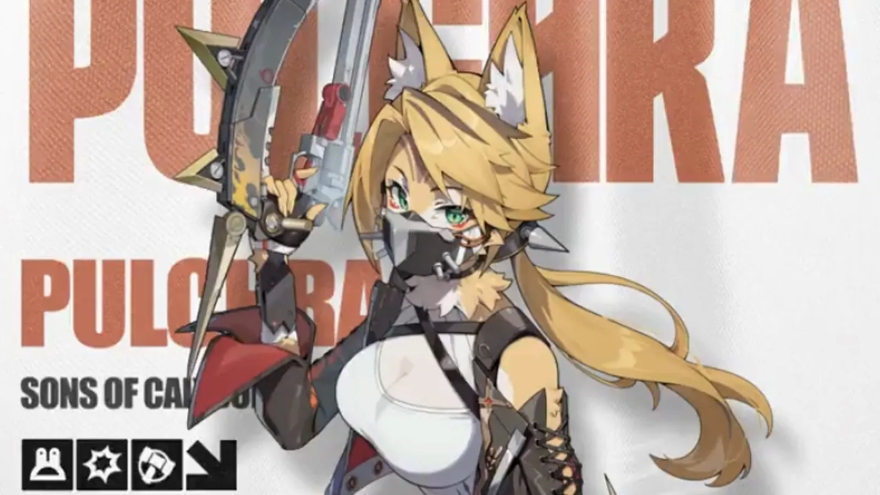 Hướng dẫn build Pulchra zzz