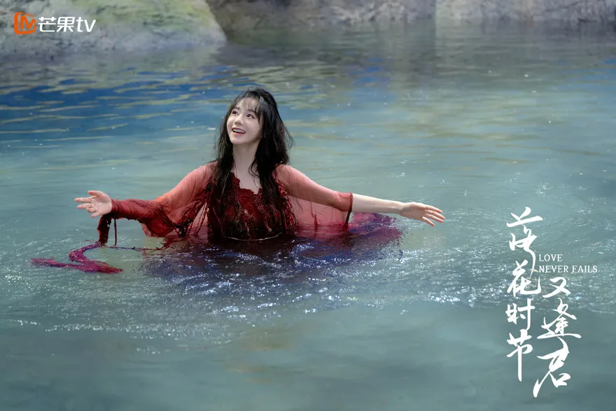 Mùa Hoa Rơi Gặp Lại Chàng: Nội dung và lịch chiếu