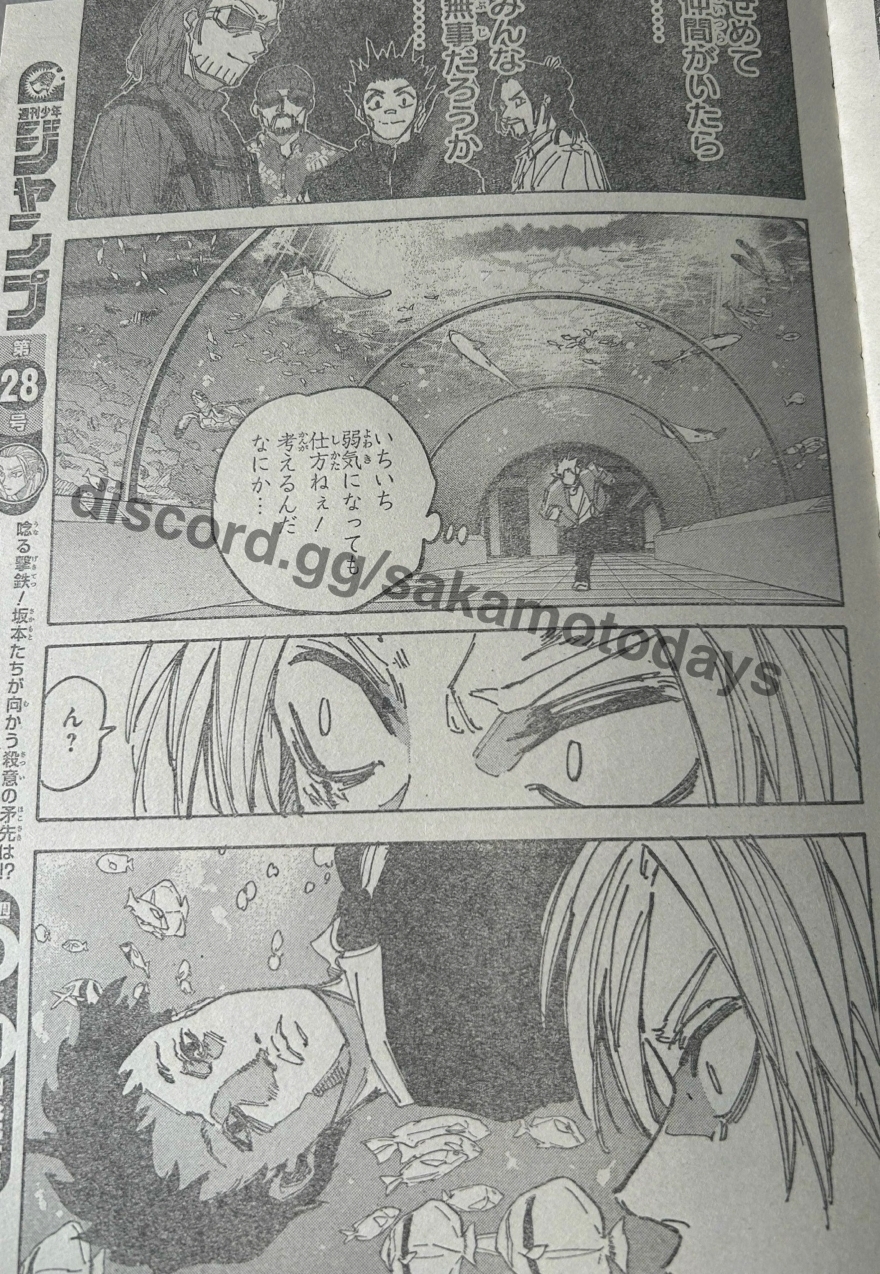 Spoiler Sakamoto Days chap 215