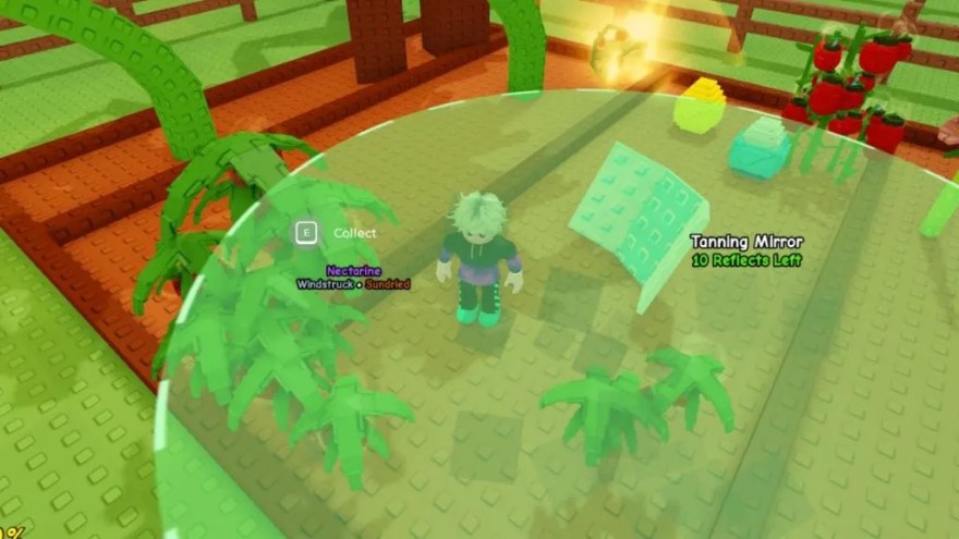 Cách nhận Tanning Mirror trong Grow a Garden