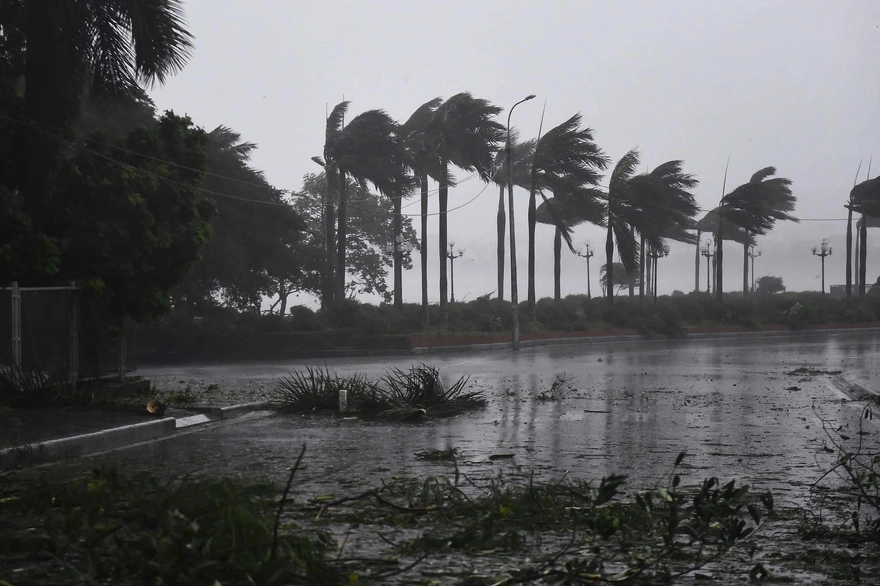 Bão Cỏ May là gì: Tất cả thông tin cần nắm