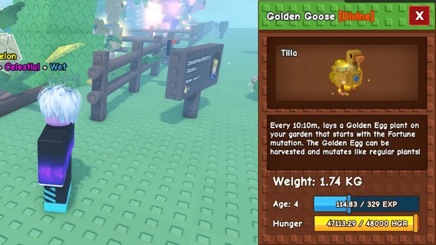 Cách để có được Golden Goose trong Grow a Garden