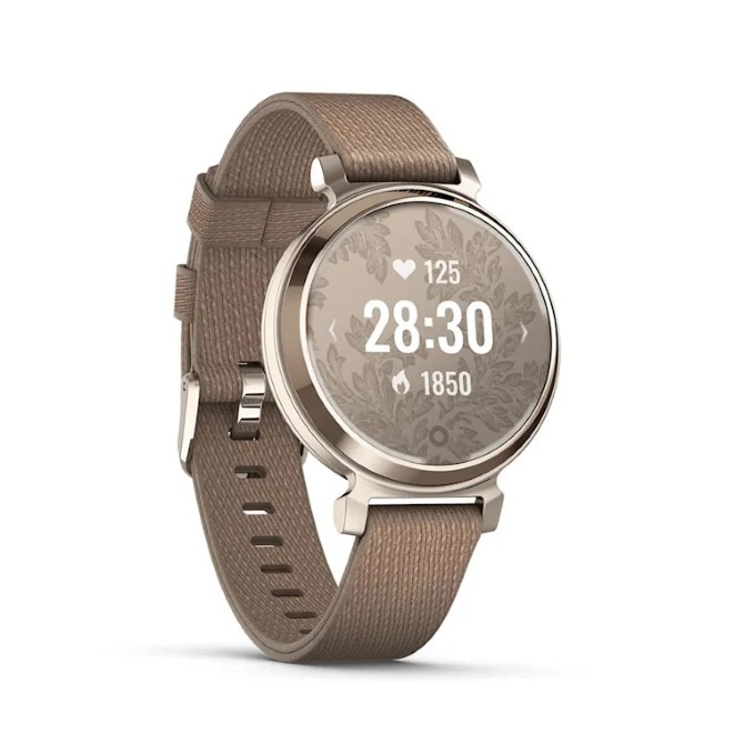 Đồng hồ thông minh Garmin Lily 2