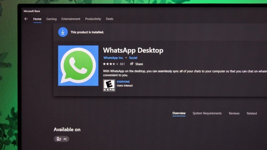 Bản WhatsApp mới cho Windows 11 ngốn RAM hơn