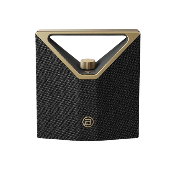 Loa Bluetooth Bugani Brief Pro