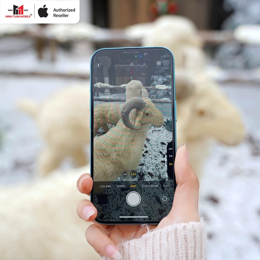 Sau 1 năm: iPhone 16 hay iPhone 16 Plus đáng tiền hơn?