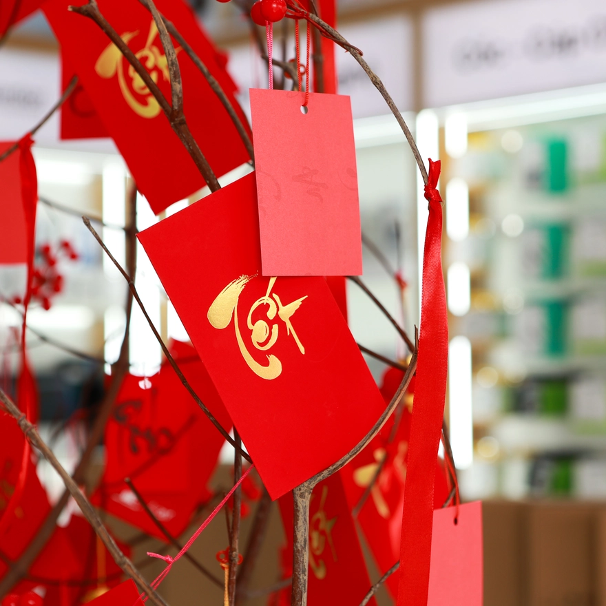 Chi nhánh Hoàng Văn Thụ, Lê Trọng Tấn thay 