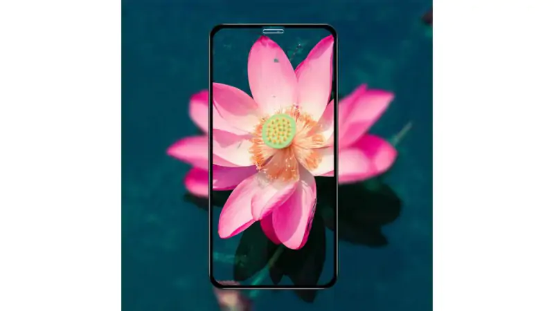 Mua cường lực iPhone 11 Pro Max Mipow Kingbull tại Minh Tuấn Mobile