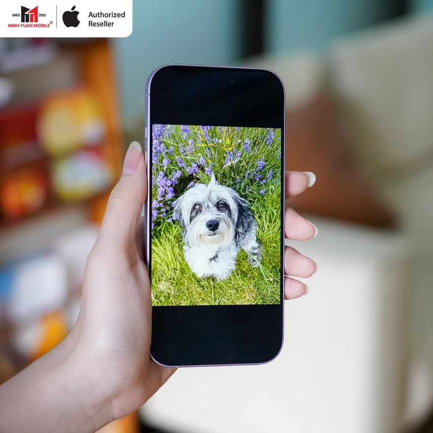 iPhone 17e và iPhone 17: Chip A19, chênh 7 triệu chọn em nào