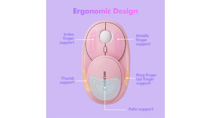 Kết nối kép Bluetooth và Wireless 2.4GHz linh hoạt