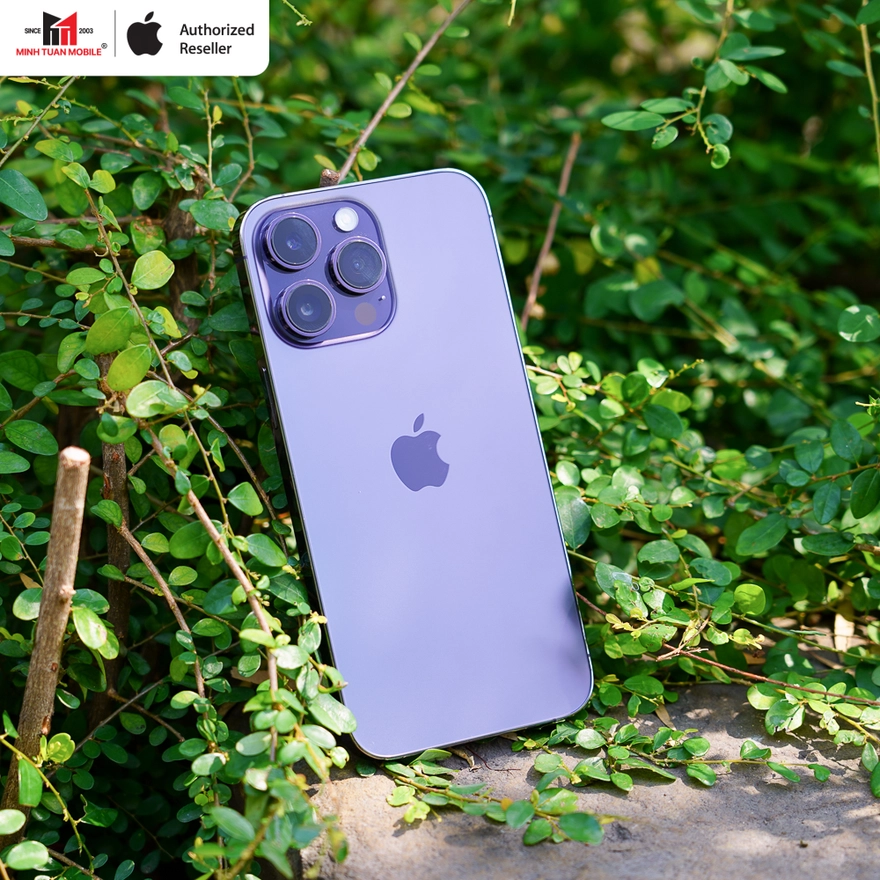 Mua iPhone Pro Max cũ không thể bỏ qua 3 cái tên hấp dẫn này