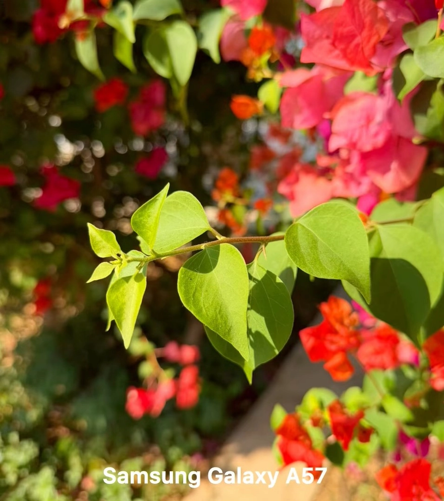 Galaxy A57 dưới 12 triệu: Chụp ảnh đẹp nhất phân khúc?