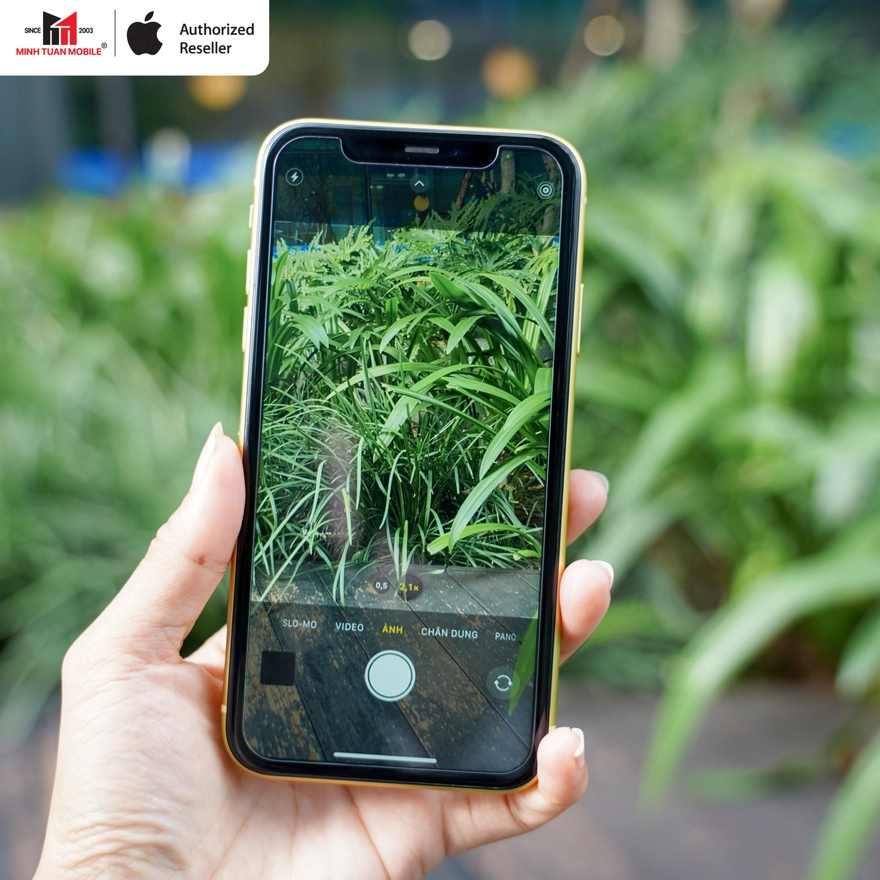 3 dòng iPhone thường cũ nên mua nhất: Giá chỉ từ 6 triệu