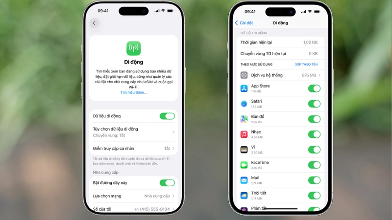 Chỉ định hồ sơ viễn thông chuyên biệt cho đàm thoại và truy cập internet