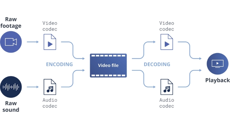 Giải mã file H.264 là gì? Cách mở và chuyển đổi nhanh chóng