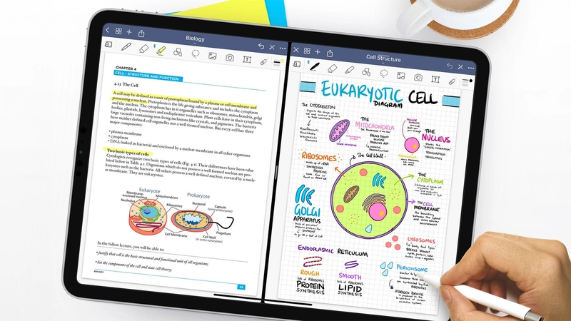 Đánh giá ứng dụng ghi chú trên iPad tốt nhất cho công việc và học tập