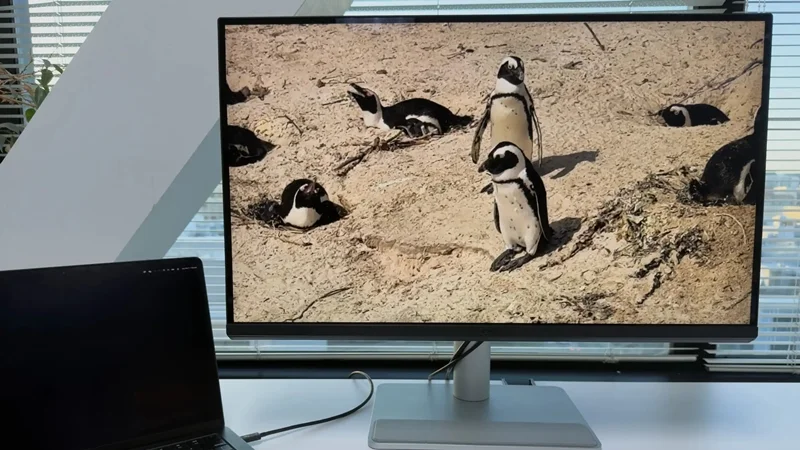 Các tiêu chí quan trọng khi chọn mua màn hình rời cho MacBook Pro M5