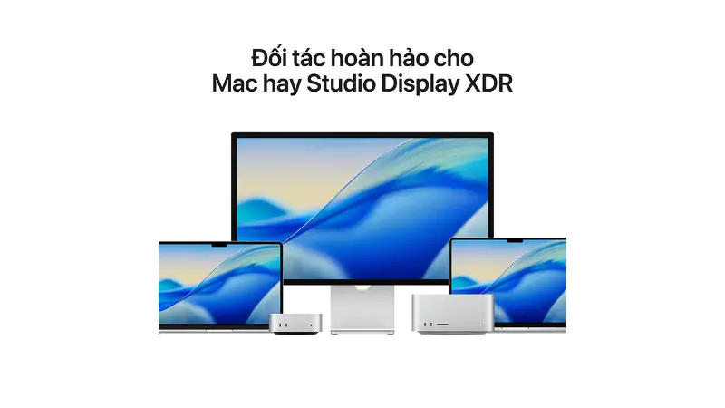 Thiết kế ngàm VESA linh hoạt cho mọi không gian làm việc