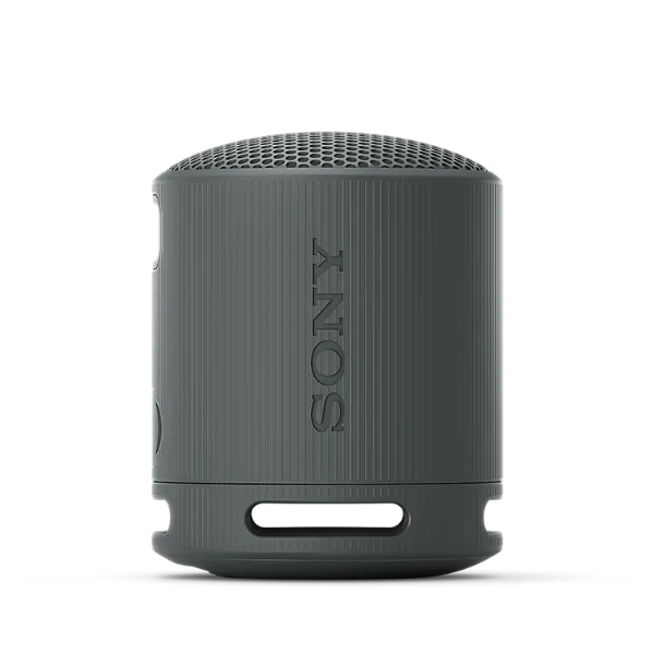 Loa Sony