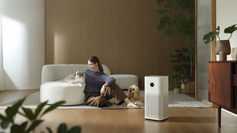 Máy lọc không khí và máy xông tinh dầu