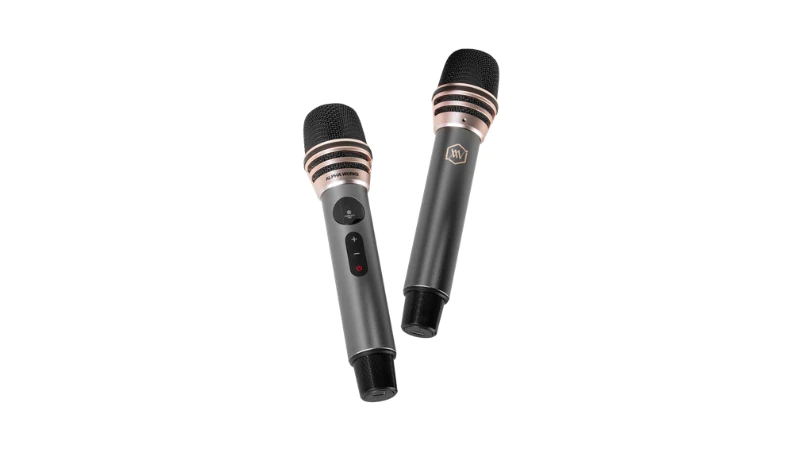 Sân khấu karaoke thu nhỏ với 2 micro 