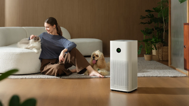 Câu hỏi về máy lọc không khí