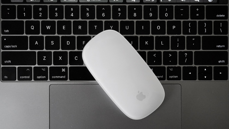 Ưu đãi Magic Mouse chỉ 990.000đ khi mua MacBook Air M5