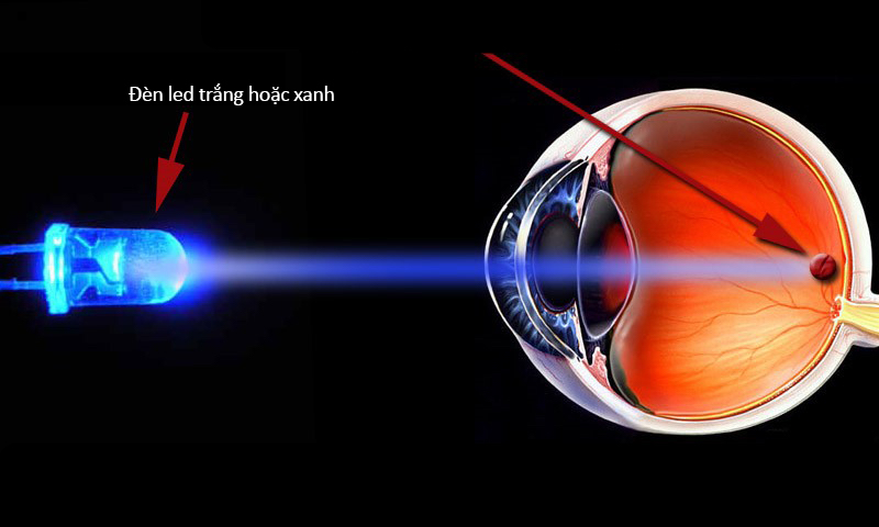 10 mẹo bảo vệ đôi mắt bạn nhất định phải biết nếu thường xuyên xem màn hình điện thoại trong đêm