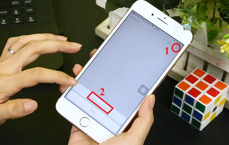 Chọn đường kẻ & lưới ghi chú