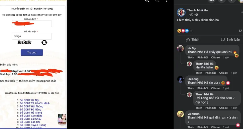 Flex điểm thi tốt nghiệp THPT 2023