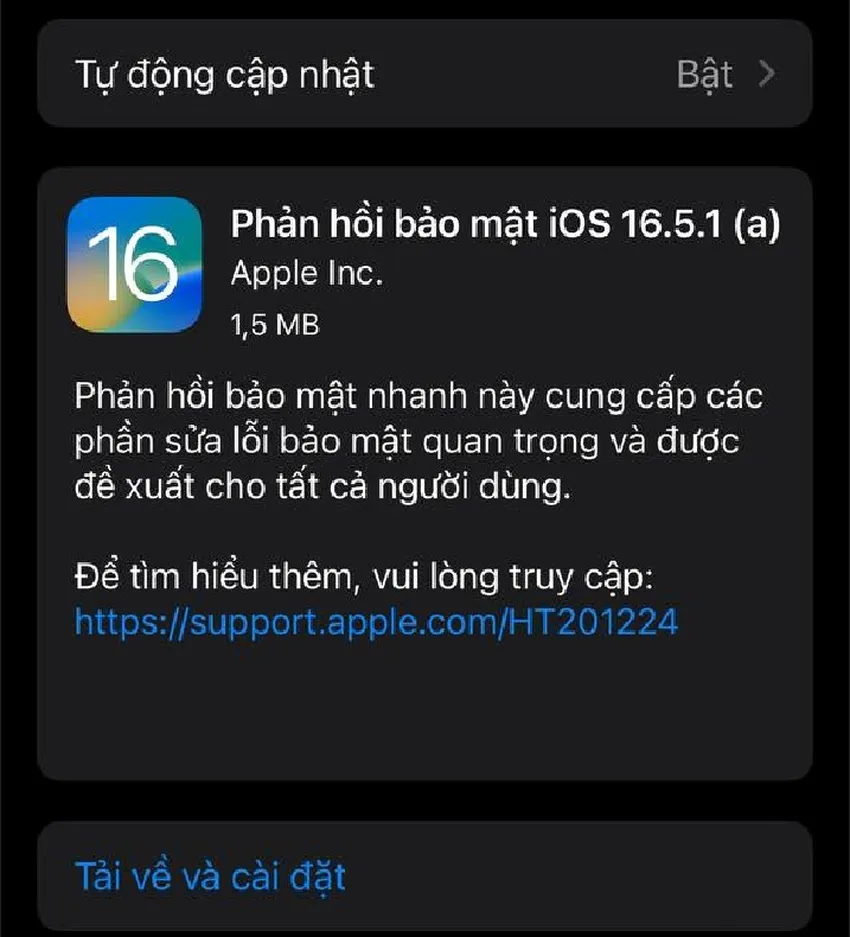 iOS 16.5.1 phản hồi bảo mật